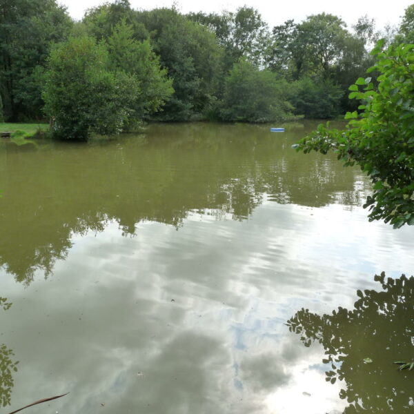 Main Lake at Nine Oaks Angling Centre in west Wales