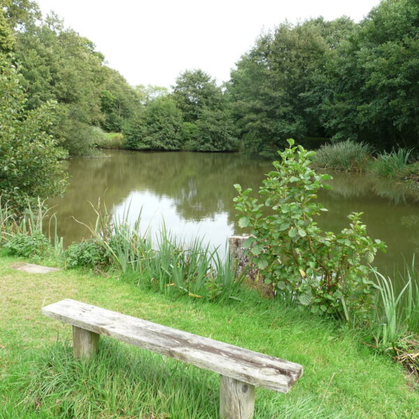 House Pool at Nine Oaks Angling Centre in west Wales