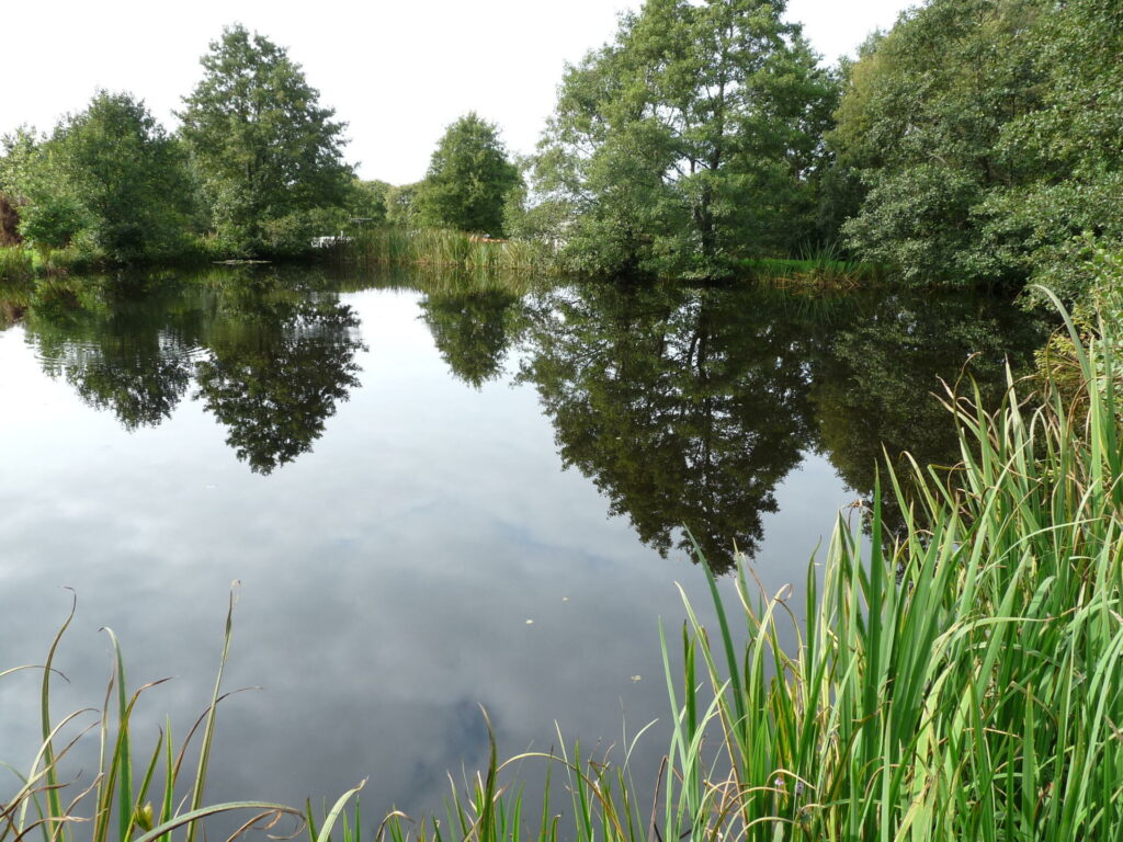 Nine Oaks Holidays and Angling Centre