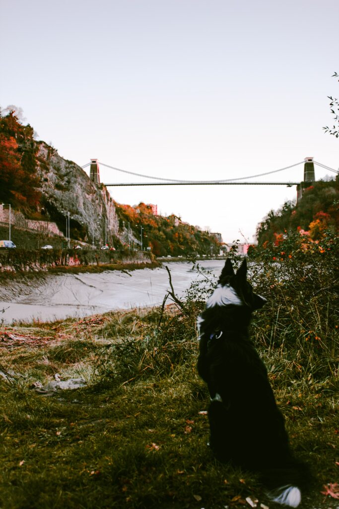 Avon area offers some outstanding fishing