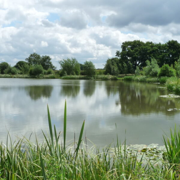 Coppice Lane Fishing Lakes