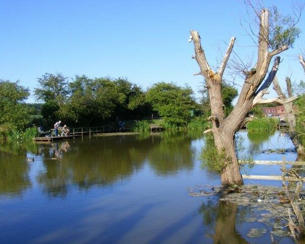 Fishing at Pool House Farm