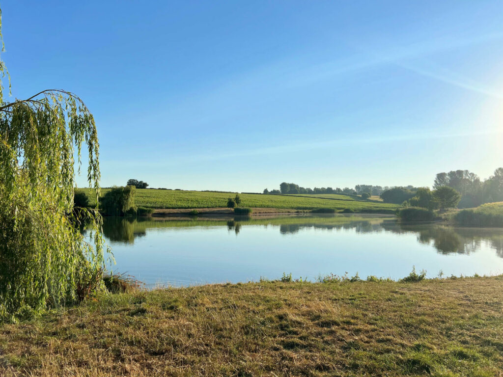 Andy's Fishing Lake in Herefordshire