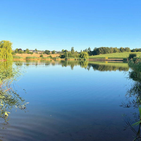 Andy's Fishing Lake in Herefordshire