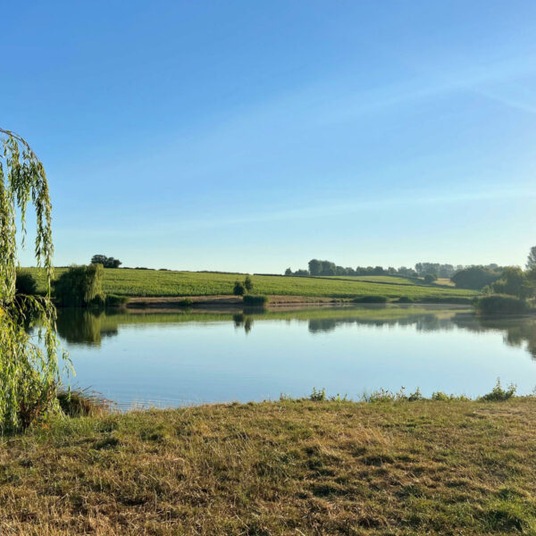 Andy's Fishing Lake in Herefordshire
