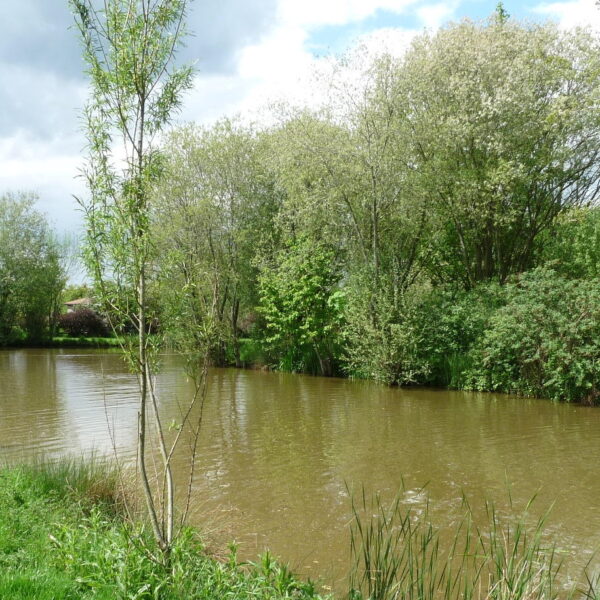 Astwood fishery