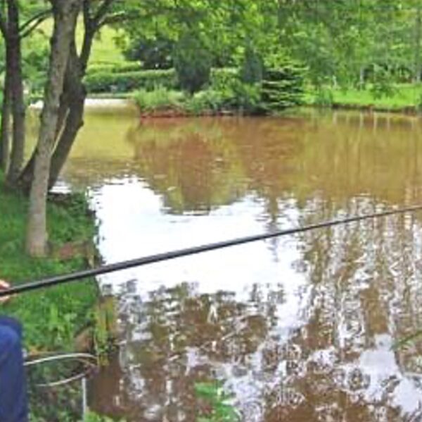 Charlecombe Fishery in Devon
