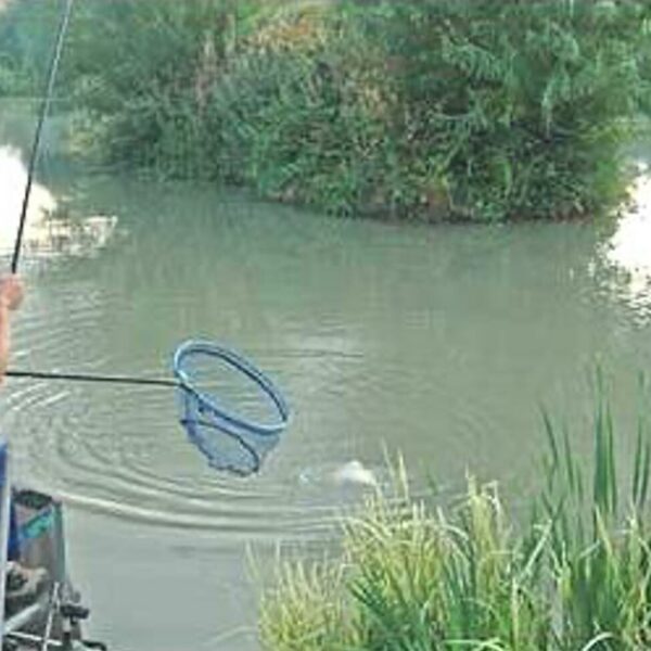 Clivey Ponds Fishery in Wiltshire