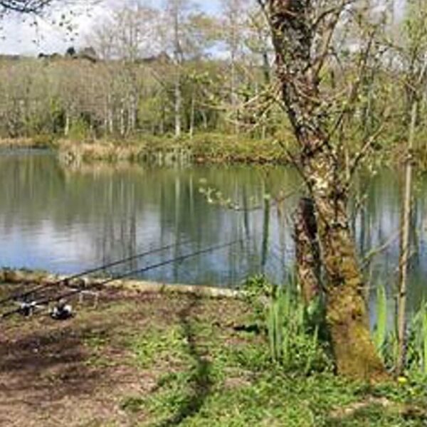 Emperor Fishing Lakes