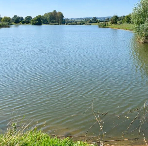 Andy's Fishing Lake in Herefordshire