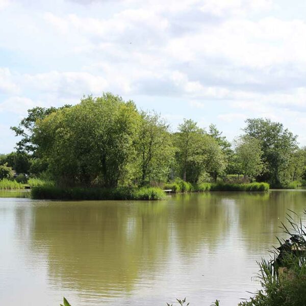 Moors Lake at Avalon Fisheries in Somerset