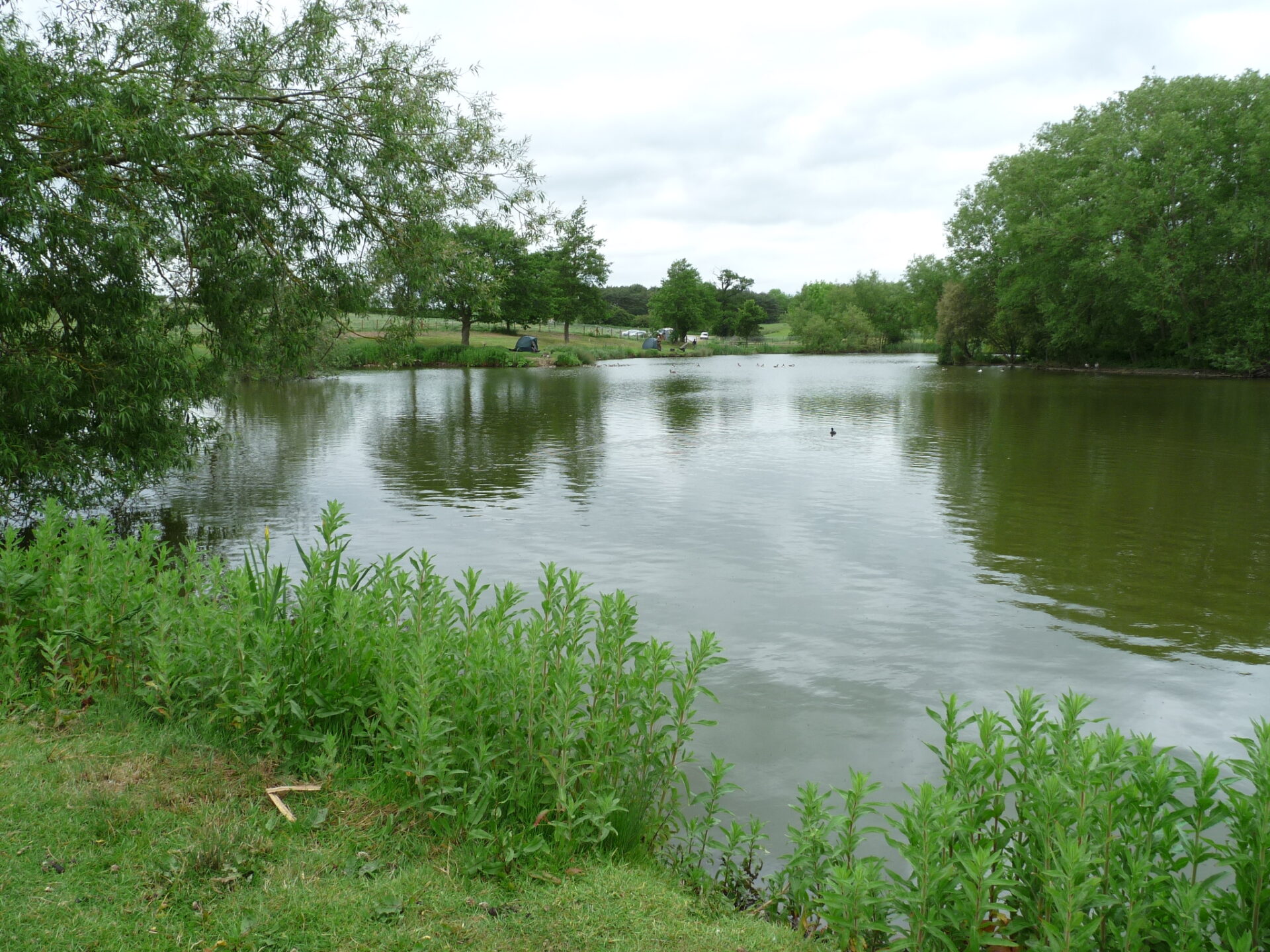Hopsford Hall Fishery north of Coventry