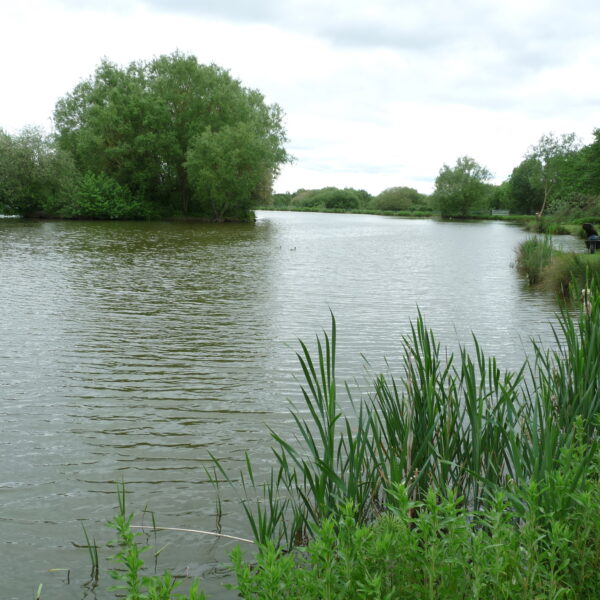 Hopsford Hall Fishery north of Coventry
