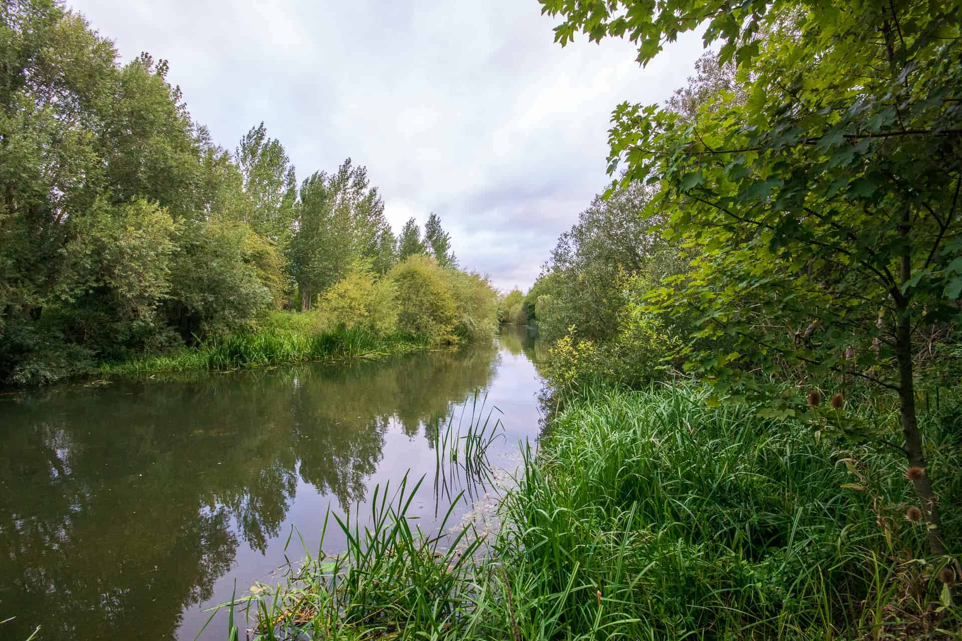 Bluebell Lakes - River Nene