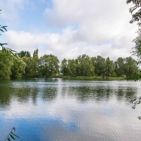 Bluebell Lakes - Sandmartin