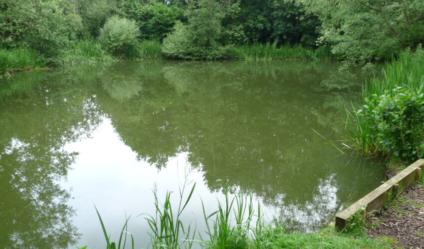 Fisheries launch ‘Winter Special’ offers