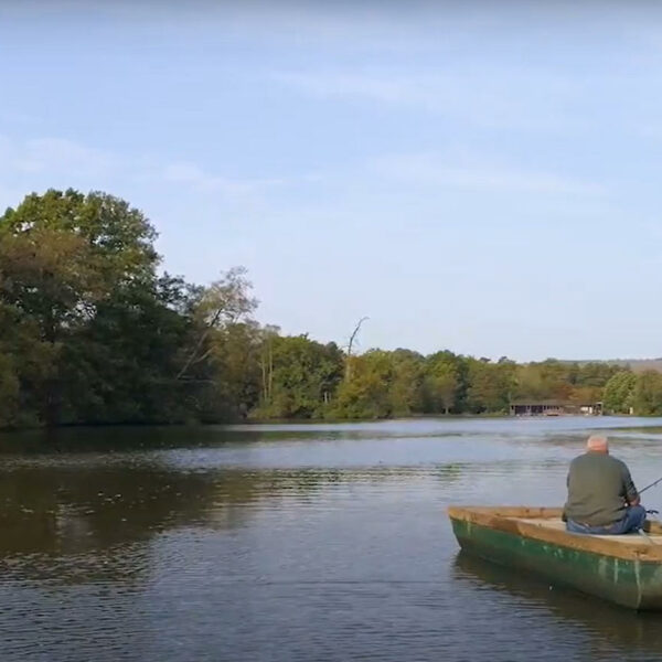 Bury Hill Fisheries in Dorking, Surrey