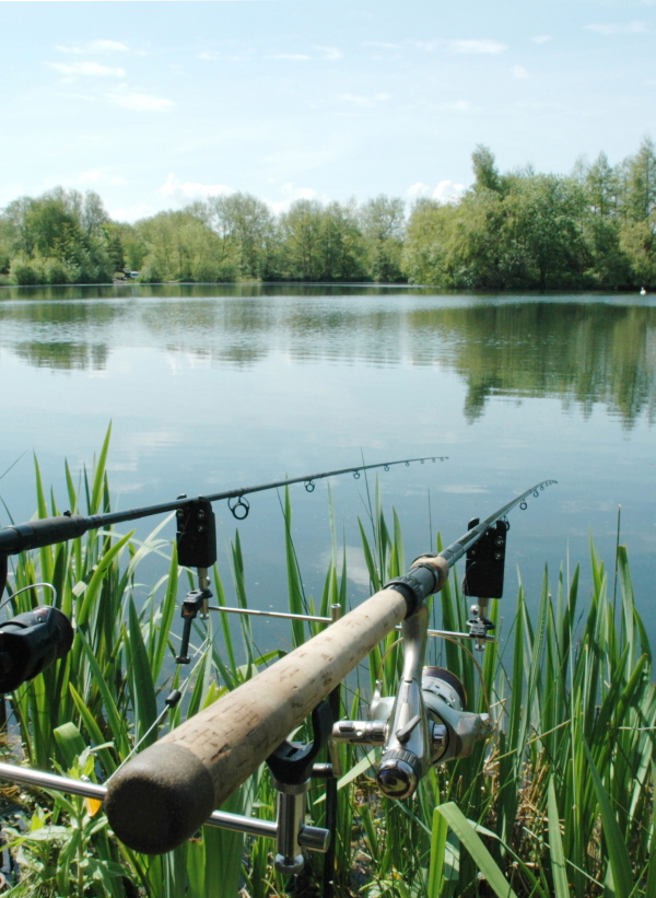 Fishing in Northumberland
