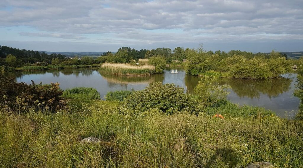 Angel of the North Fishing Lakes