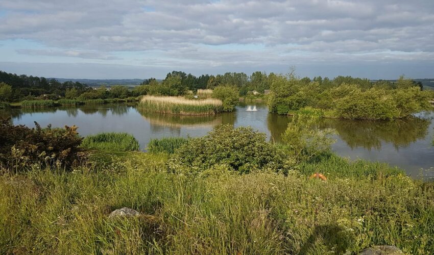 Angel records tumble as angler hauls in 602lb catch