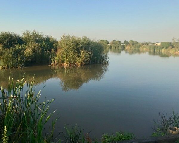 One of the lakes at New Farm Fisher
