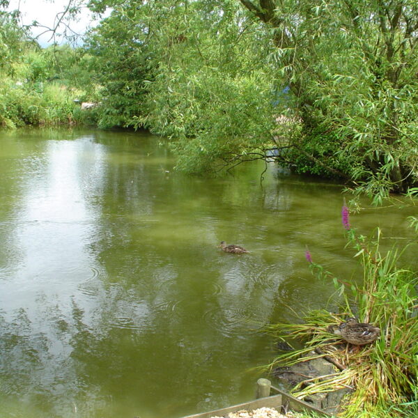 Watersmeet Country Inn fishing