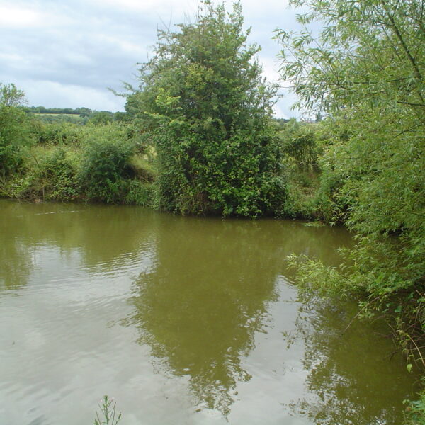 Watersmeet Country Inn fishing