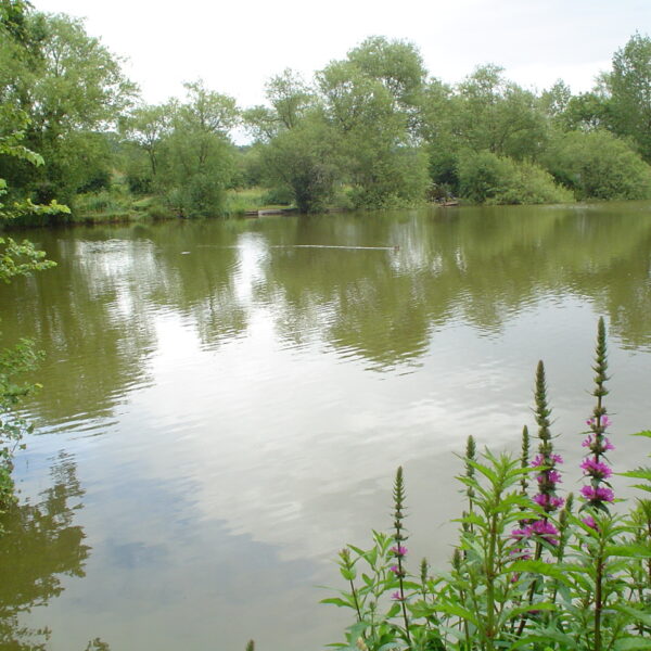 Watersmeet Country Inn fishing