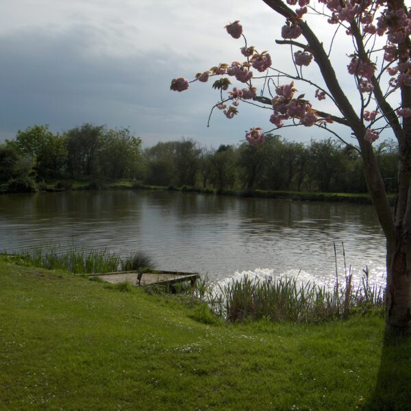 Fishing at Milton Pools