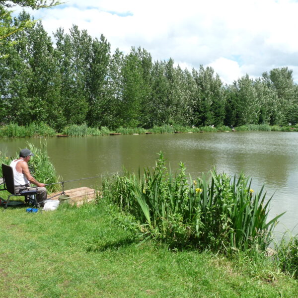 Fishing at Hillview Lakes