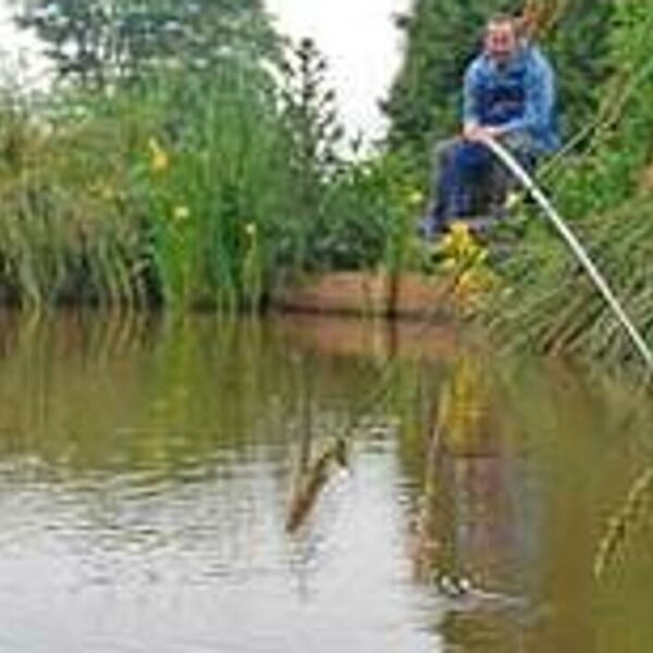 New Barn Farm Fishery in Devon, UK