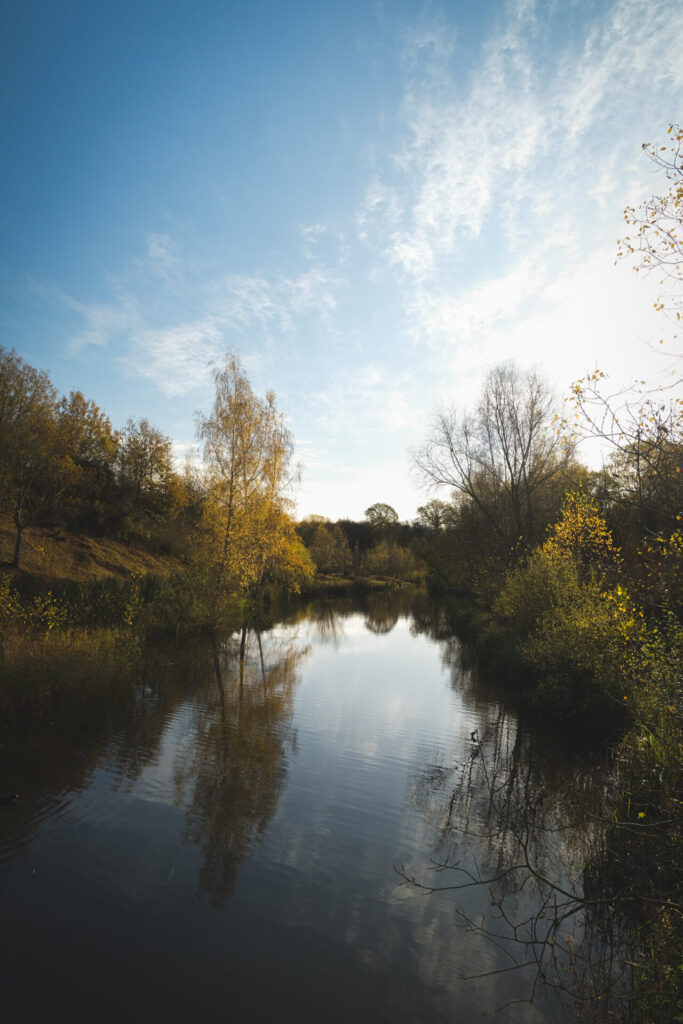 Ryton Pools Country Park