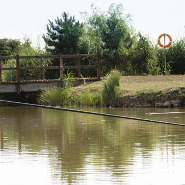 Stones Fishery in Kent