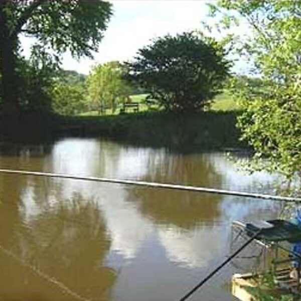 Wapperwell Pond in Devon