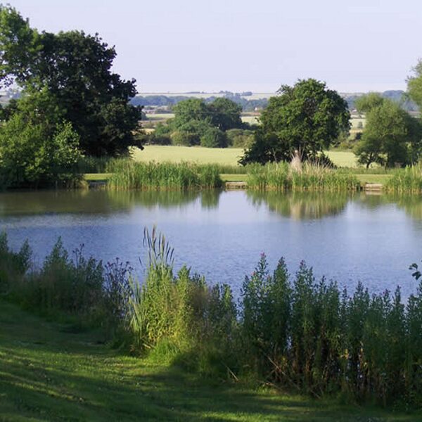 Woodlands Fishery in Lincolnshire