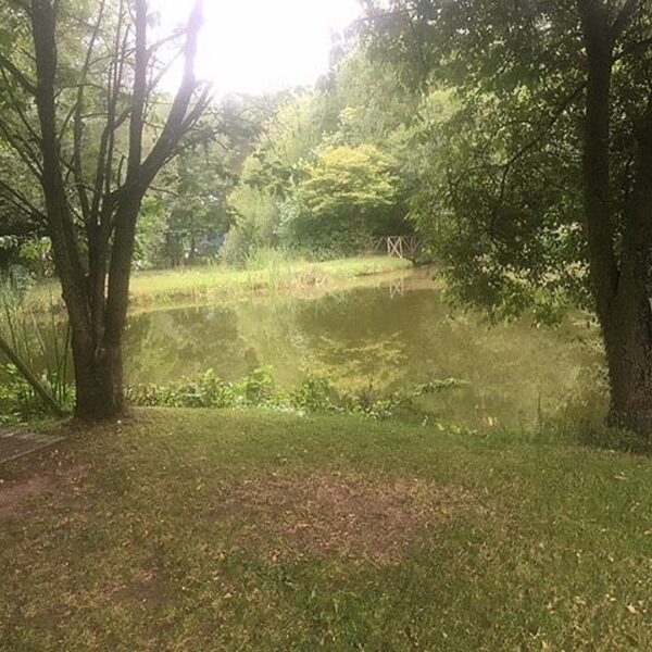 Shropshire's Chequered Lake