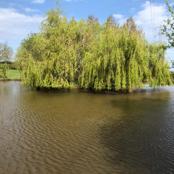 Chorley Springs to open Runs water for matches