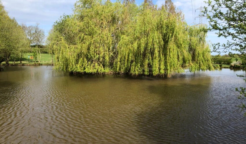 Chorley Springs to open Runs water for matches