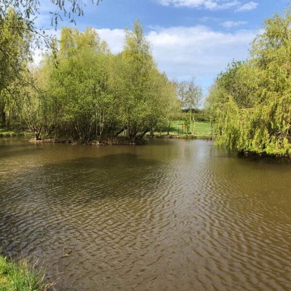 The Runs Water at Chorley Springs Fishery