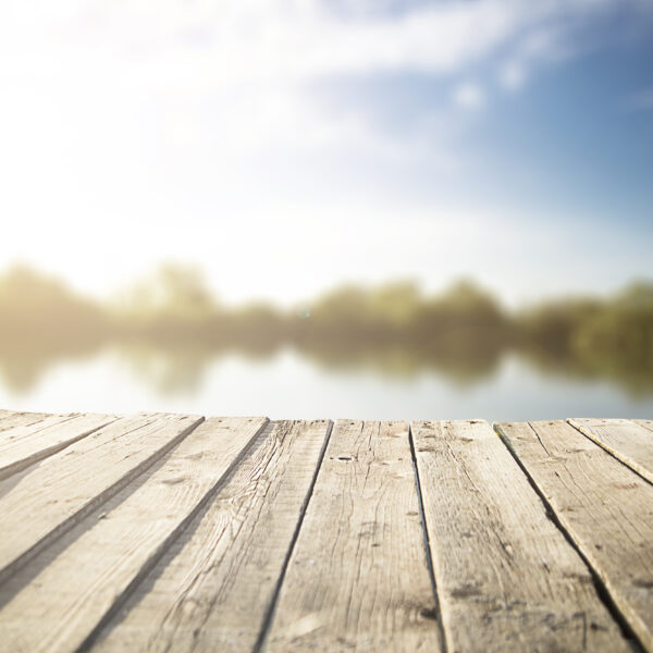 Awaiting image from Fishery