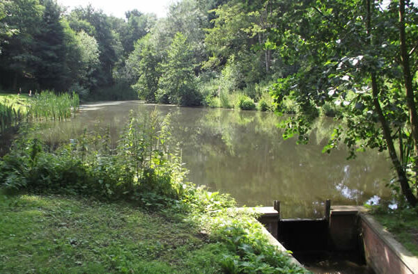 Woodlands Fishery in Lincolnshire