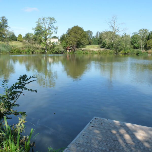 Estate Lake at Knowle in the West Midlands offers exclusive fishing