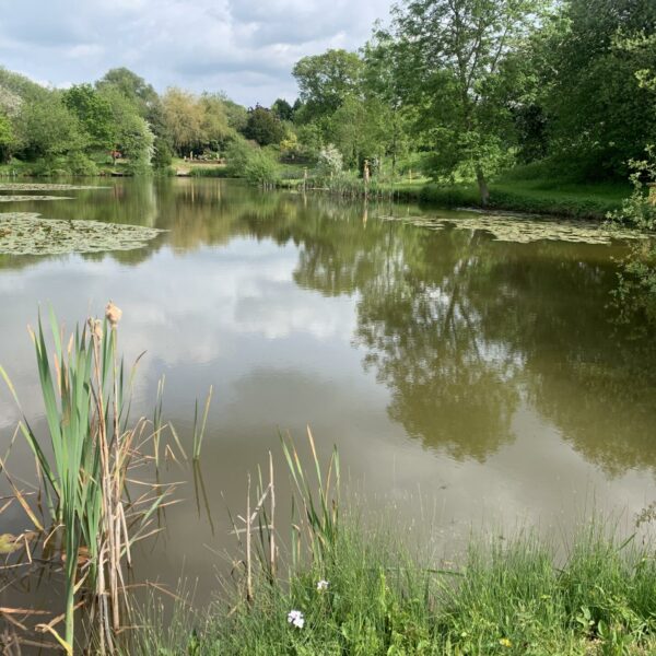 Rosefern Pool near Bromyard in Herefordshire