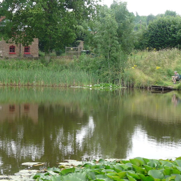Rosefern Pool Fishery at Bromyard in Herefordshire