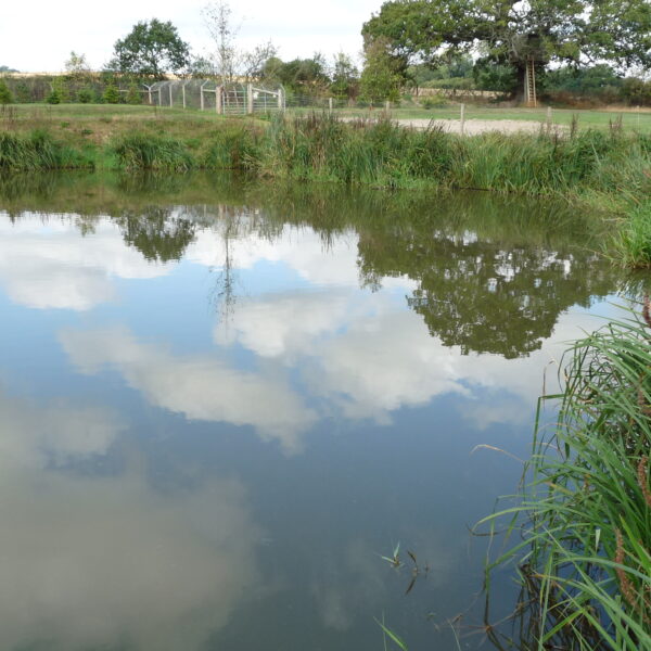 Arrow Meadow Carp Fishery at Alvechurch in the West Midlands