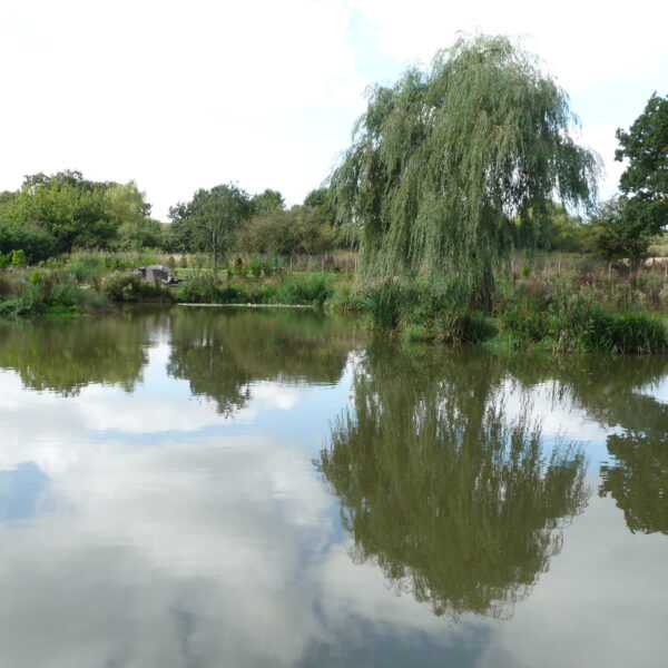 Arrow Meadow Carp Fishery at Alvechurch in the West Midlands