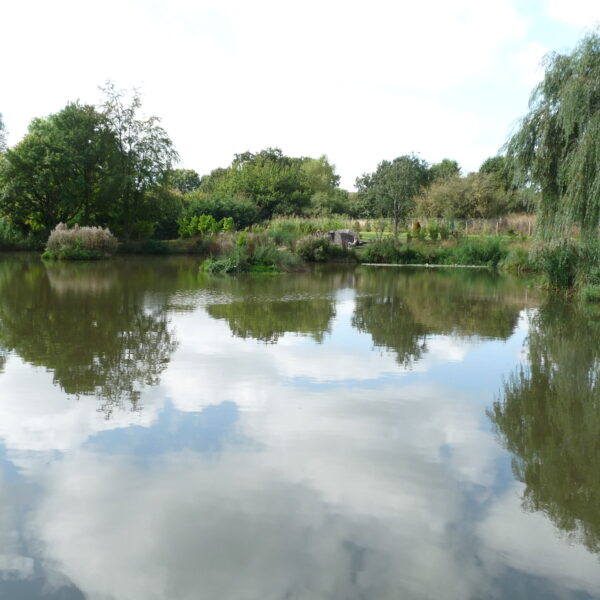 Arrow Meadow Carp Fishery at Alvechurch in the West Midlands