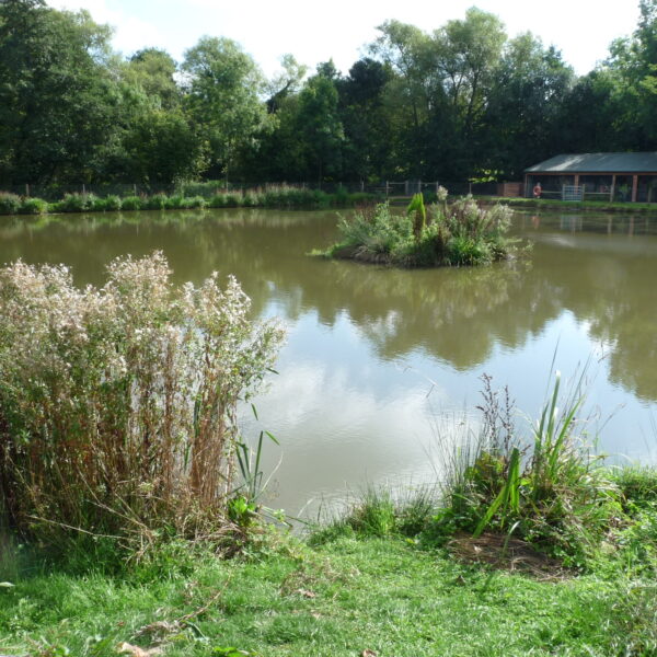 Arrow Meadow Carp Fishery at Alvechurch in the West Midlands