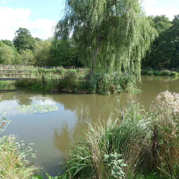 Arrow Meadow Carp Fishery at Alvechurch in the West Midlands