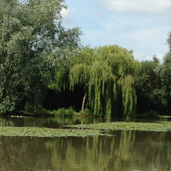 Riddings Fishery at Grendon near Atherstone